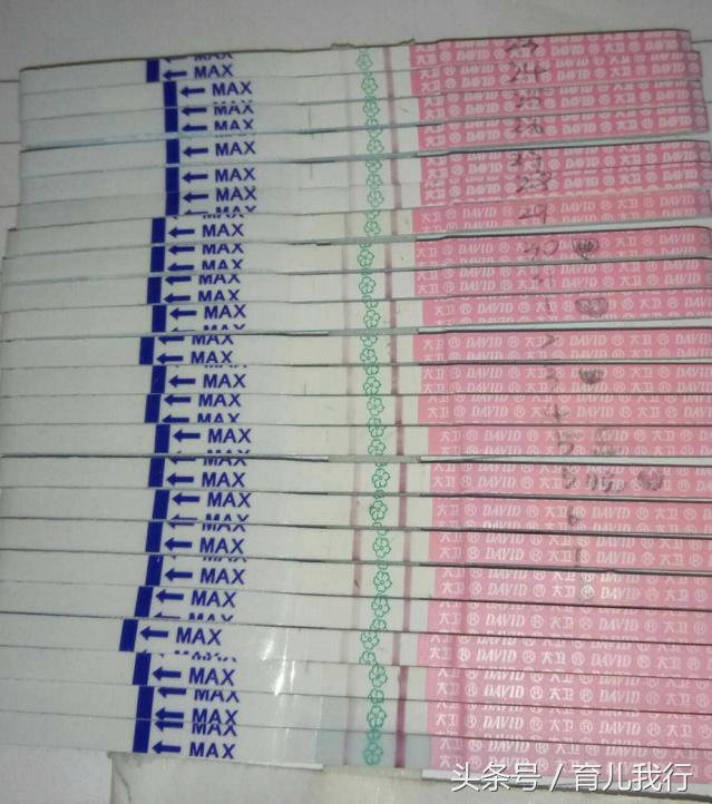 备孕已如愿,备孕成功怀孕