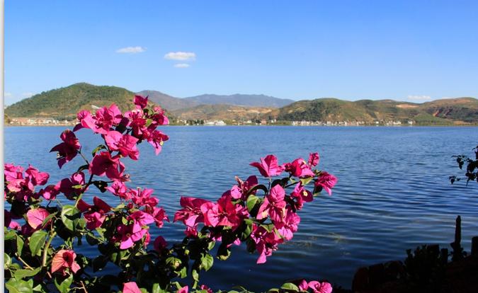 手机怎么拍照玩游戏拍视频,手机如何拍照好看的技巧vivo