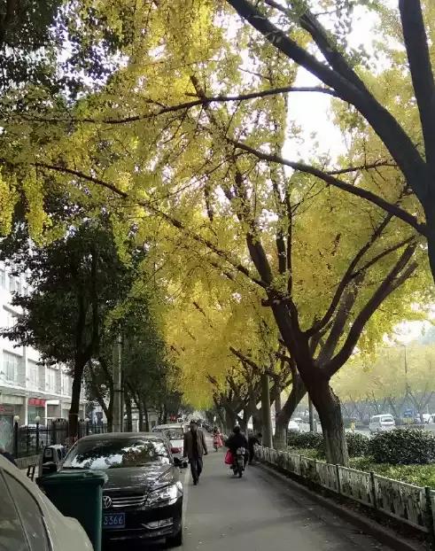 满城尽带黄金甲京剧,满城尽带黄金甲由什么改编