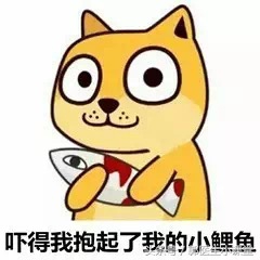 什么？护甲、护发、护肤，还要护逼？