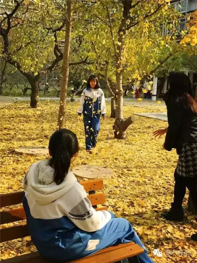 美呆了！被银杏包围的北京育英学校，在这里学习都是一种享受