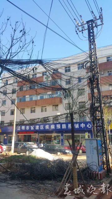 辣眼睛还怕伤人!谁来管管这些“蜘蛛网”“绊马绳”