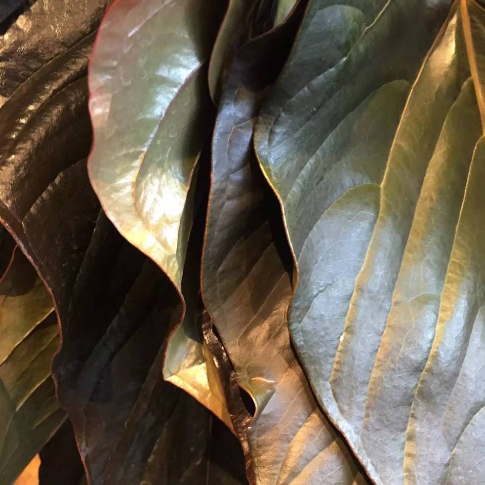 东京花店,东京南青山花店