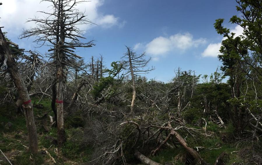 济州岛市区买买买攻略,济州岛必须做的100个事