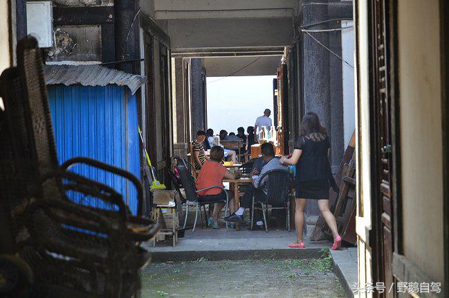 新疆野鹅自驾游视频,野鹅圣诞节自驾游