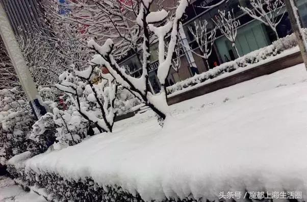 合肥哪下雪了,合肥一定要下雪吗