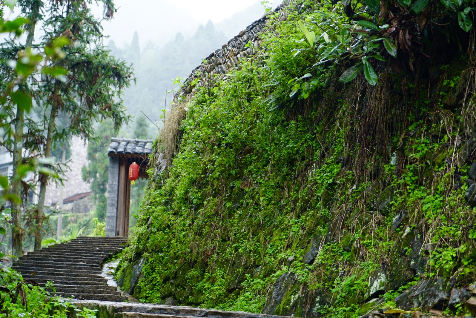 温州三八节免费景点,三八节好玩的地方温州