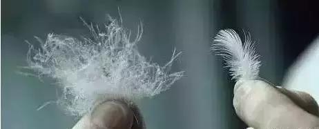 遇上一个风不正经的冬天，是时候来膜拜一下羽绒服界的杠把子了