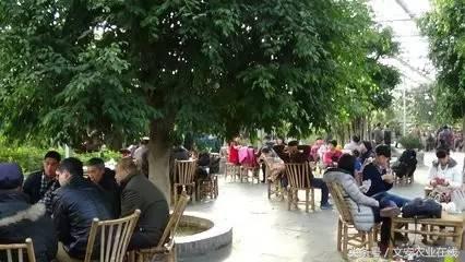 2016廊坊精品景区之“最具人气景区-九天休闲谷”