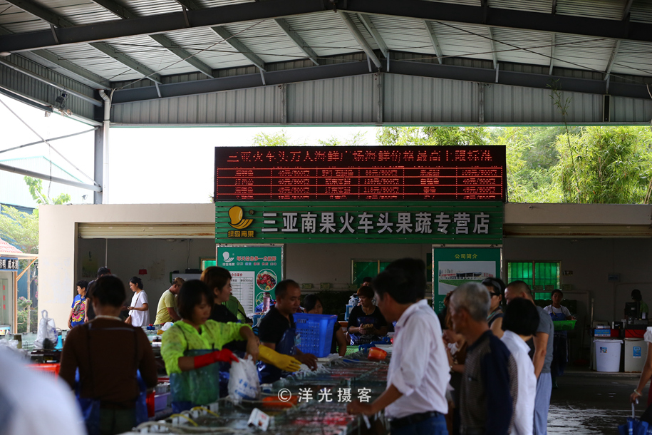 现在的三亚海鲜市场,海鲜市场发现什么东西