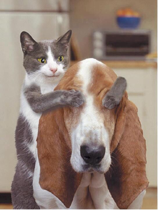 开火锅店怎么盈利5点妙招帮助你,火锅店过年开业促销活动方案