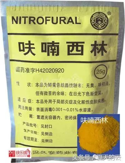 养鱼的专业助手,那些你不知道的有趣软件