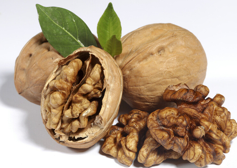 一味中药熬粥 (80岁老中医煮粥方子)