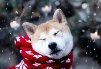 冬天如何选择便宜又保暖的围巾,夏季哪种围巾又保暖又好看