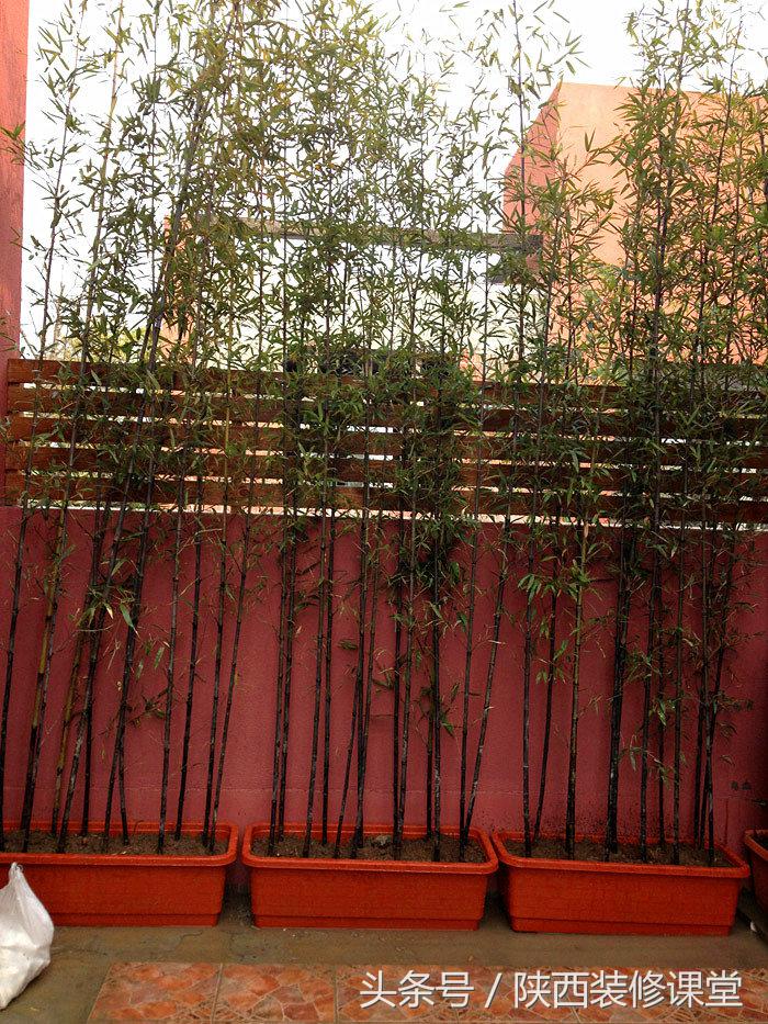 280平花园法式,我家花园的氛围感