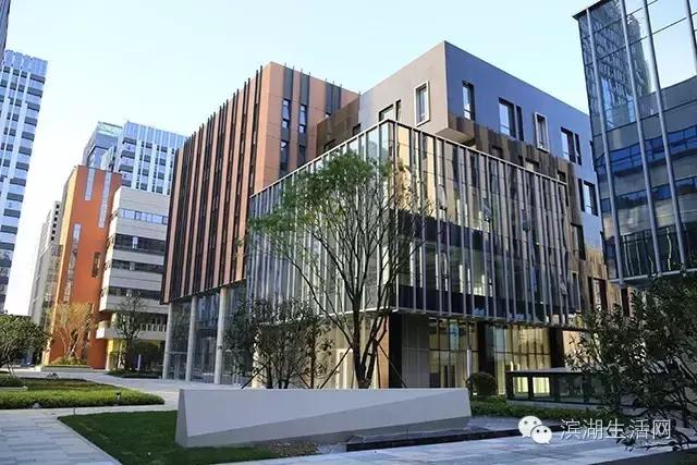 在滨湖，有9类人一眼就会爱上这里！