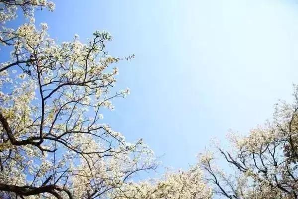丽江至泸沽湖公路沿途风景,泸沽湖到丽江高速什么时候通车