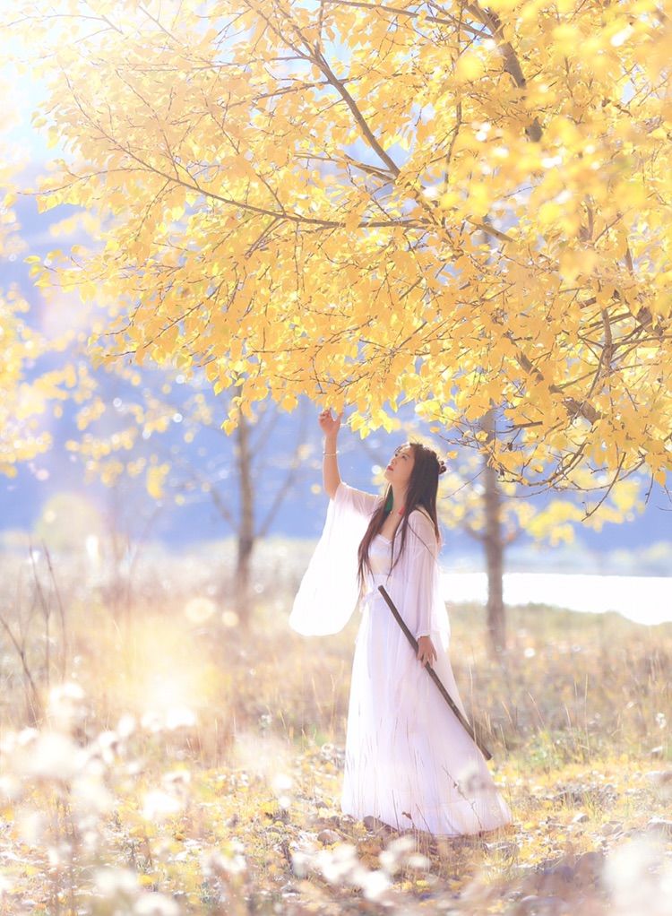 我在秋天等你是什么歌,我在秋天等你美到心碎散文