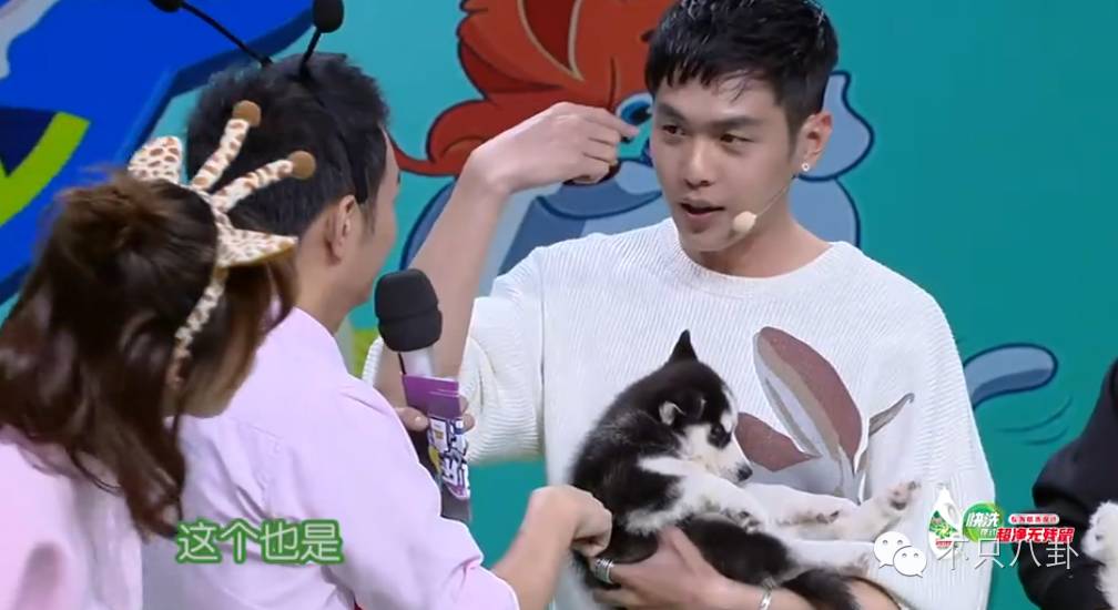 张若昀演的唐山海是什么电视剧,张若昀唐山海美照