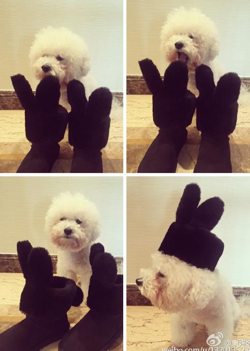 袁姗姗雪地靴视频,袁姗姗穿过膝长靴街拍