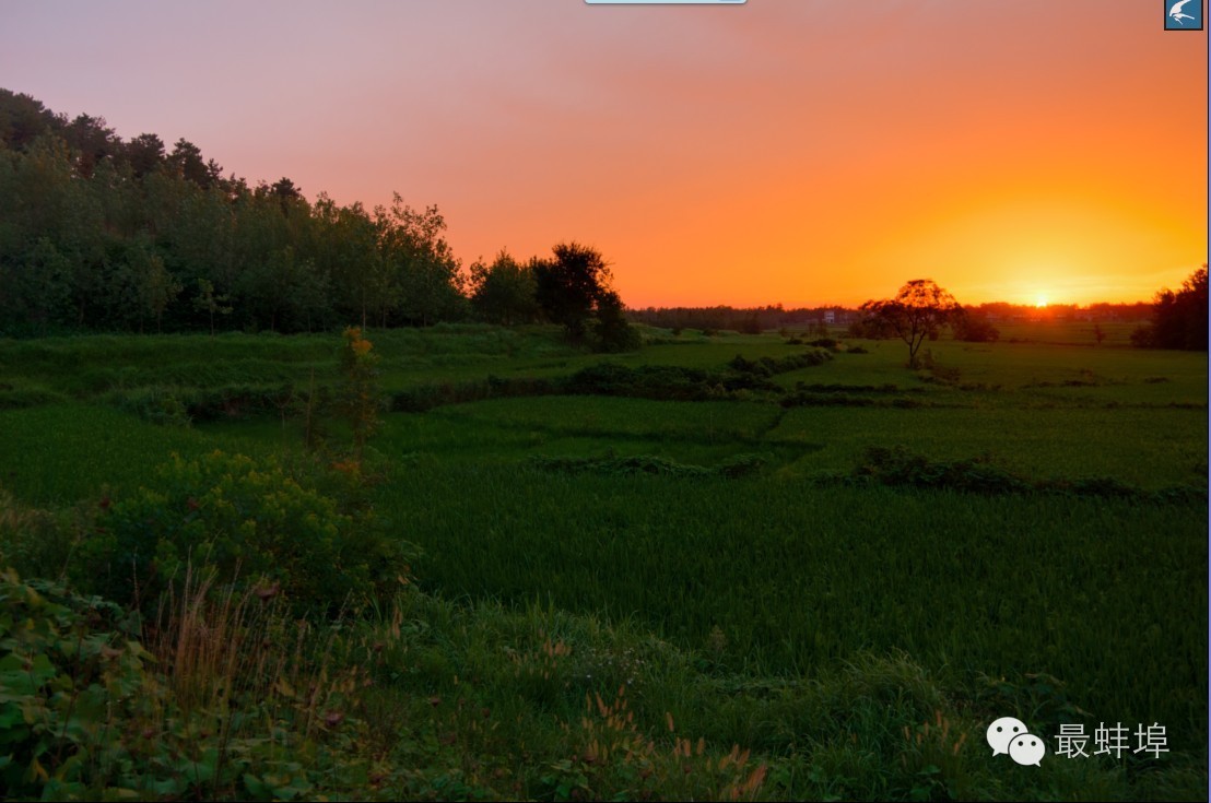 蚌埠市三县四区排名,蚌埠三大县
