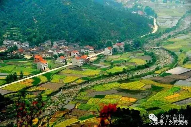 难忘大青山,难忘中学