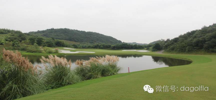 高尔夫球优惠活动,最实惠的高尔夫订场网