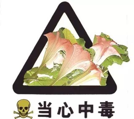 民间秘方致病人死亡,民间偏方治死人的事件