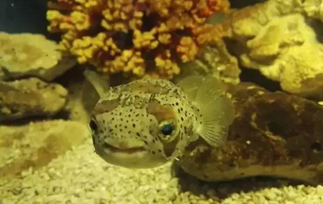 旅游景区收到游客投诉价格偏高,景区门票调价投诉