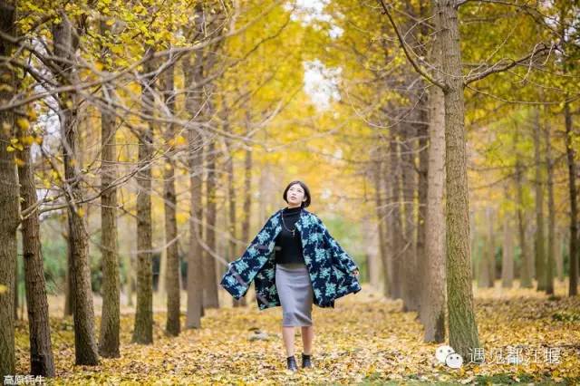 成都西部银杏第一村 (成都市周边哪里的银杏最多最美)