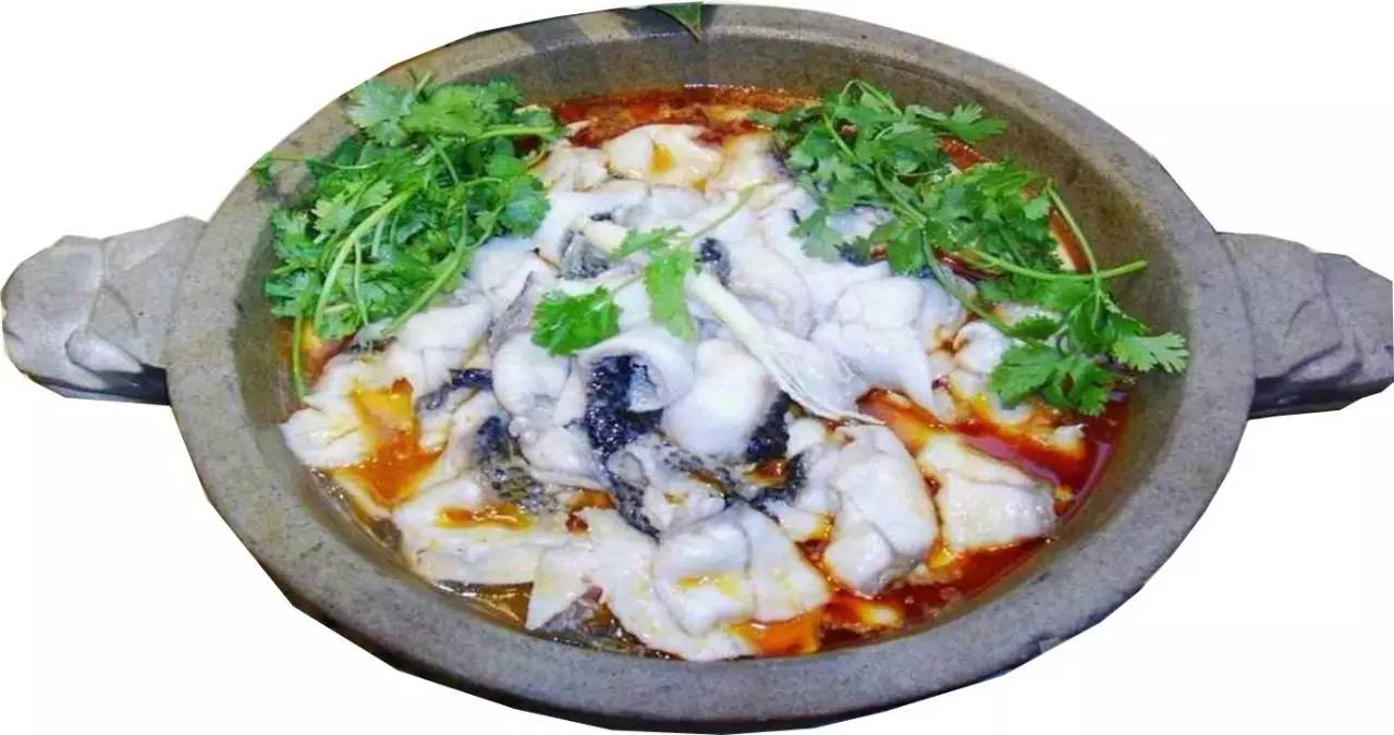 这几条千岛湖来的鱼厉害了，要在浦江干一番大事！