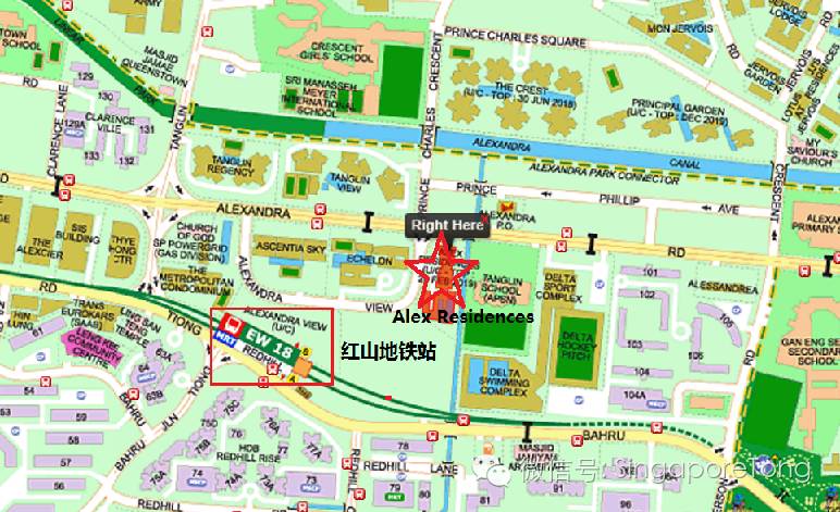 萝卜评价世界杯,萝卜评价丁俊晖