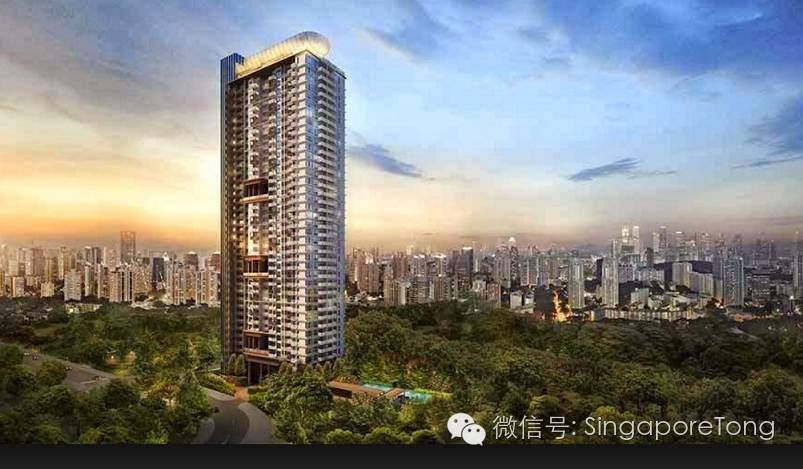 萝卜评价世界杯,萝卜评价丁俊晖