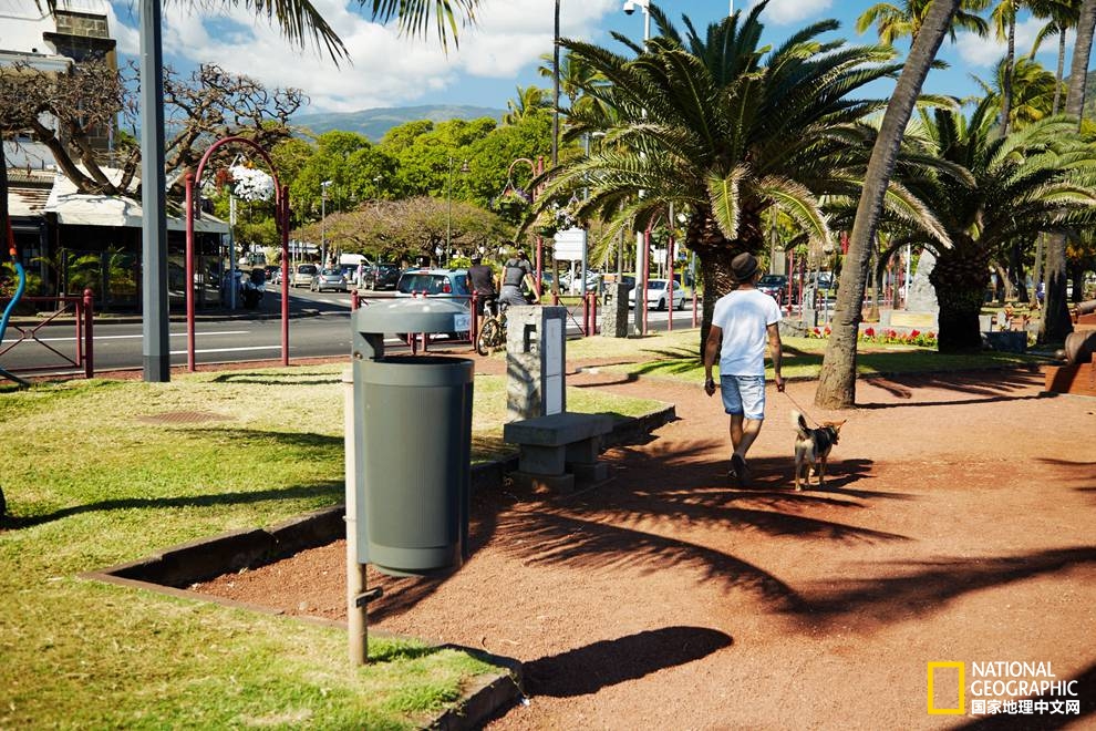 香草之岛留尼汪，上帝私藏在印度洋的小盆景！