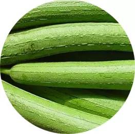 冬天爱上火的体质吃什么能改善,冬天体内湿气太重容易上火怎么办