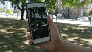 精灵宝可梦对比现实的精灵宝可梦,精灵宝可梦和现实融合小说