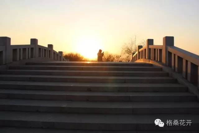 高原诗会：秋雨或者是雪（外四首）