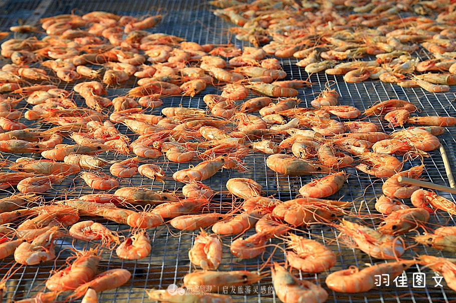 小渔村旅游攻略好吃的,那琴半岛美食攻略最新