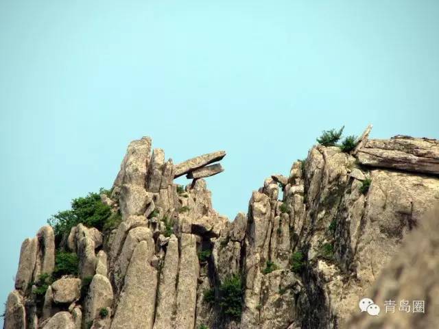 作为周口人你应该知道哪些,作为青岛人对青岛的热爱和感受