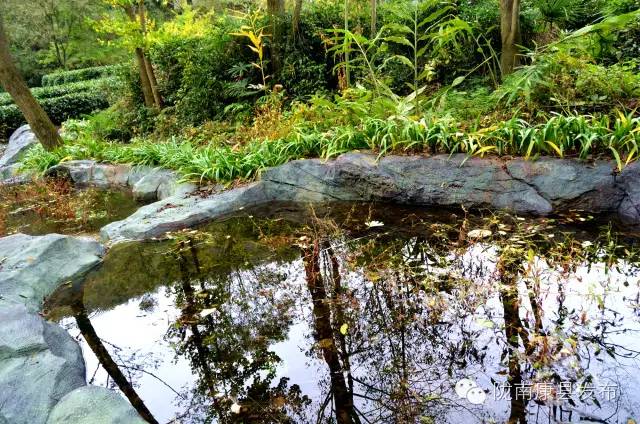 阳坝:遗落在时光深处的慢生活