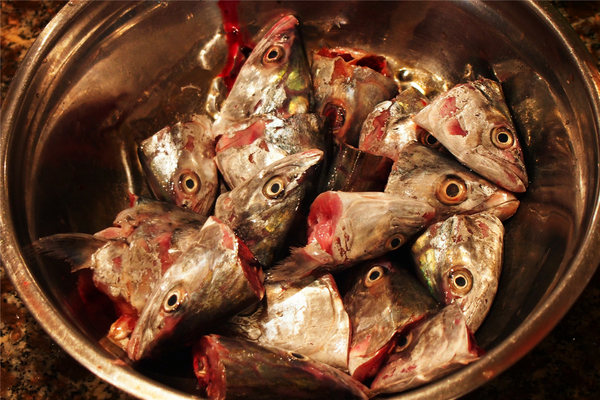 在第二个夏日赴一场海鲜的约会