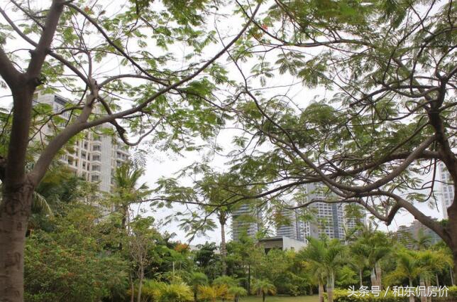 看房日记蔚蓝群岛,看房记滨海