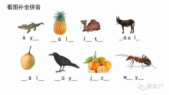 一年级汉语拼音补全音节,一年级汉语拼音补充拓展