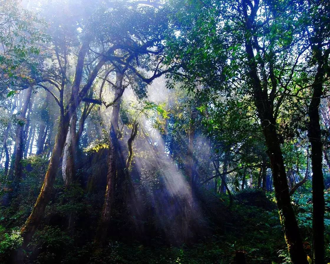 最近昆明哪里风景比较好,昆明周边的绝世美景