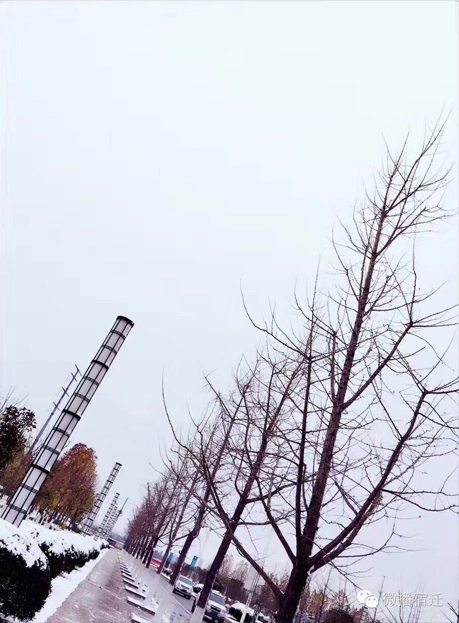 雪中宿迁，素颜都美到窒息！