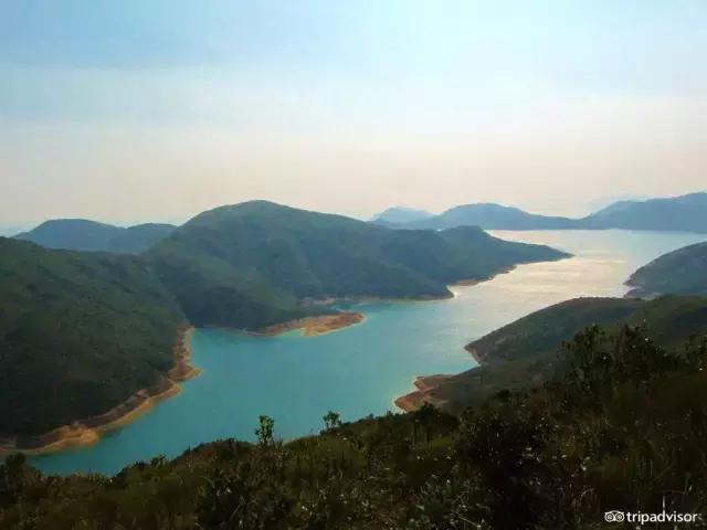 香港血拼必买攻略,香港攻略买买买