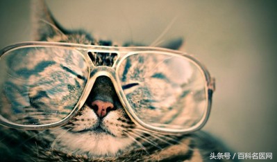 岳云鹏治眼睛干涩,岳云鹏干眼症飞蚊症好了吗