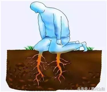 这十张照片将颠覆你的认知,这12张图让你秒懂