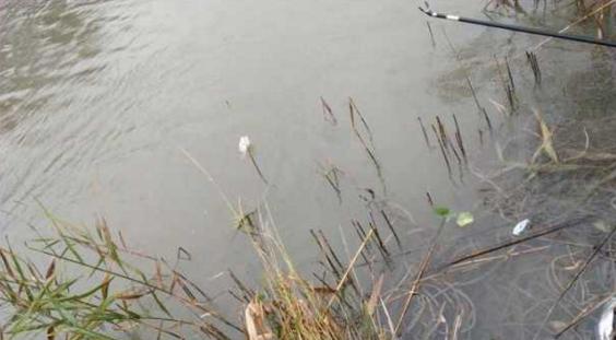 钓鱼人太牛！大风大雨中垂钓也能迎来鲤鲫大丰收