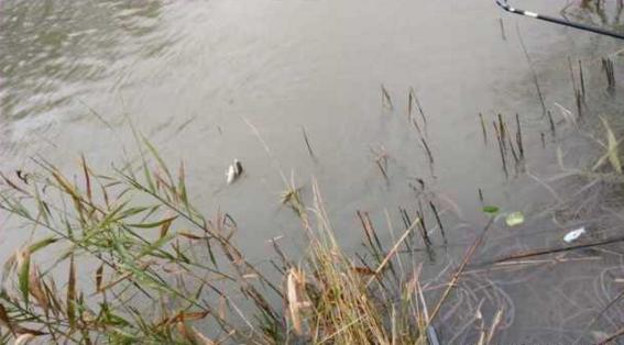 钓鱼人太牛！大风大雨中垂钓也能迎来鲤鲫大丰收